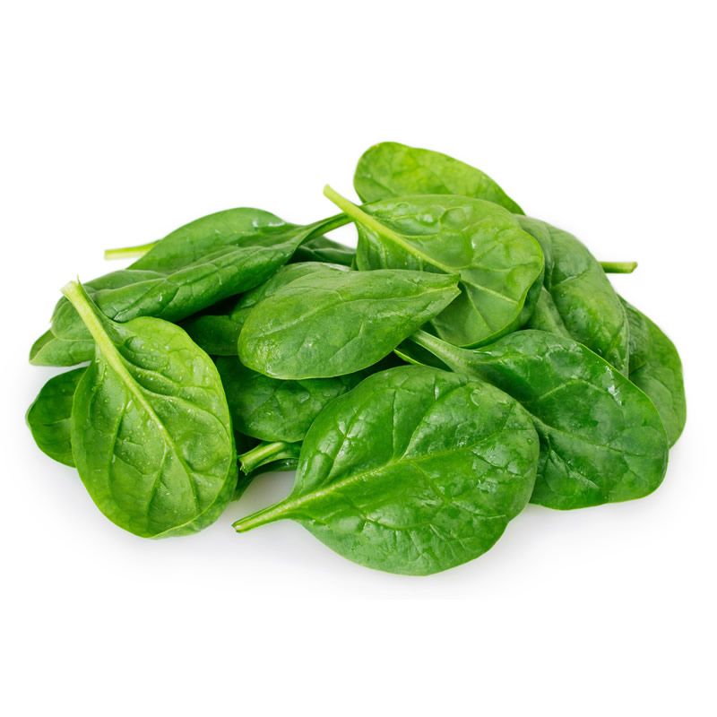 Indian Spinach (each)
