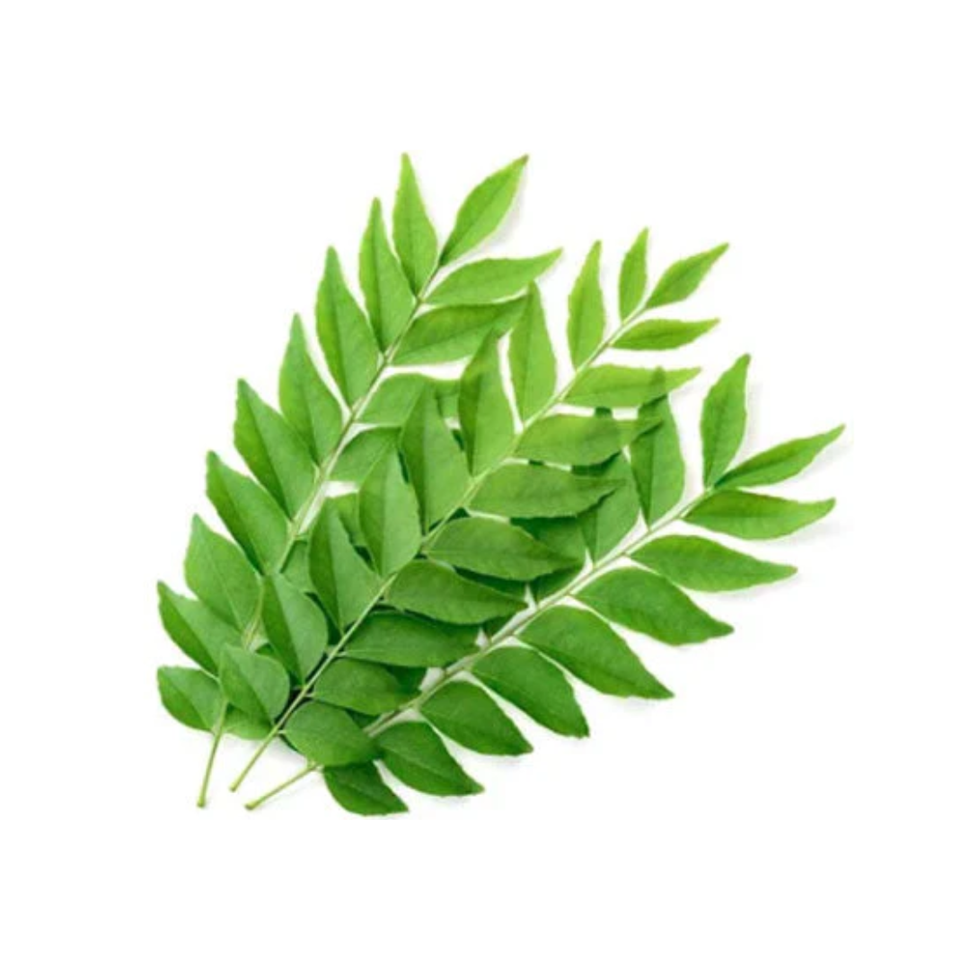 Curry Leaves