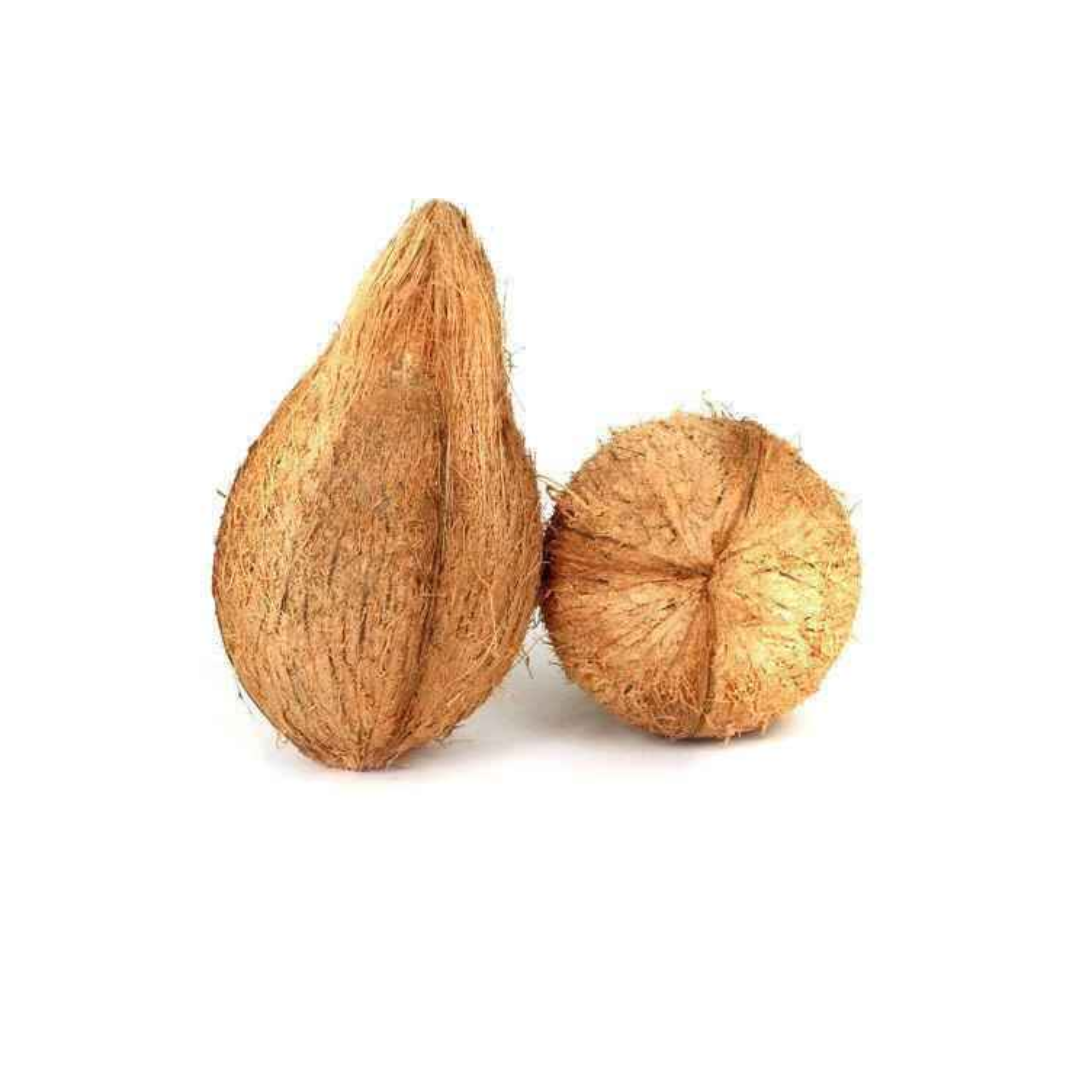 Coconut (Pooja)