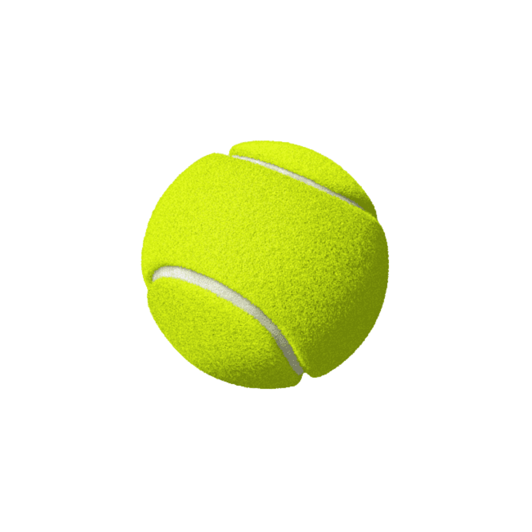 NiviaTennis ball