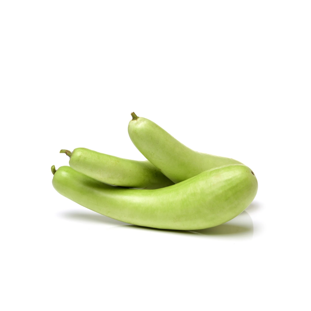 Long squash (dudhi)