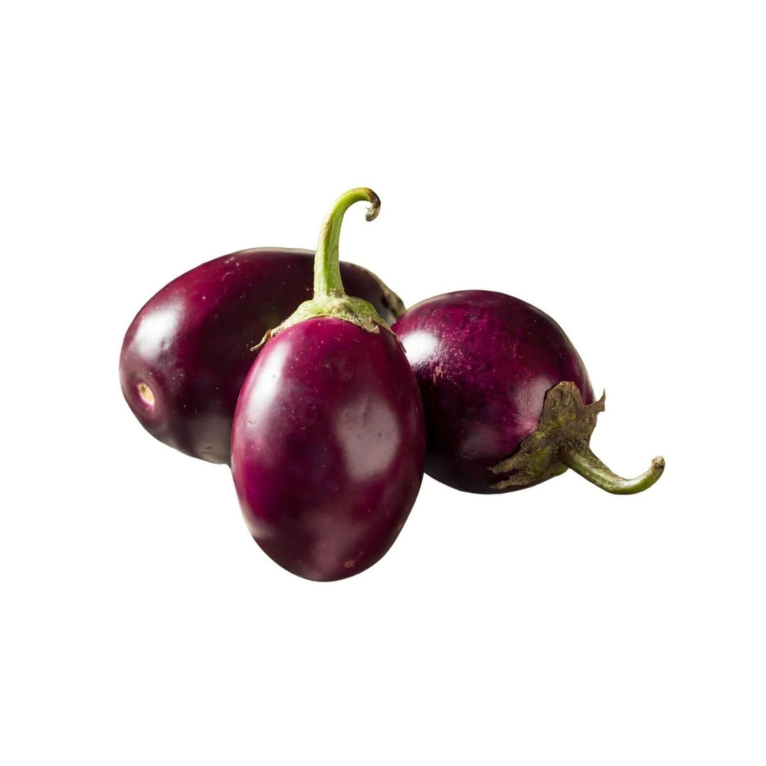 Indian Eggplant small