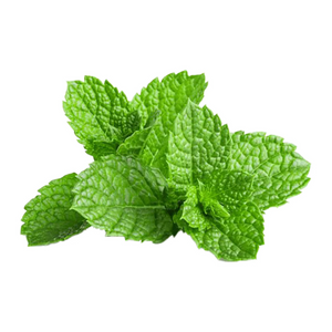 Mint (Each)