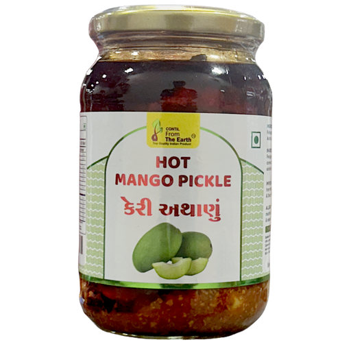 FTE - HOT MANGO PICKLE 300G