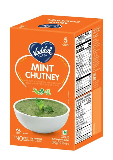 VADILAL MINT CHUTNEY - 5 CUPS 300GM